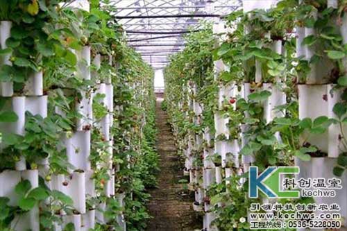 無土栽培，無土栽培技術，無土栽培設備