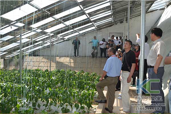 無(wú)土栽培，無(wú)土栽培技術(shù)