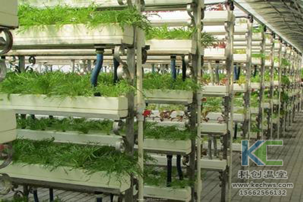 無土栽培,無土栽培技術,無土栽培設備