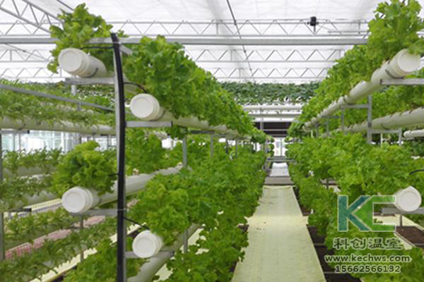 無土栽培，無土栽培技術，無土栽培設備
