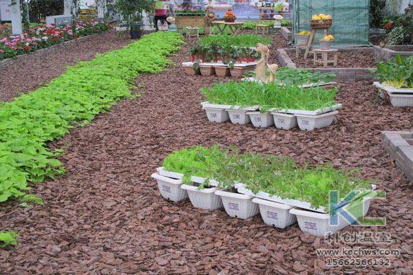 無土栽培,無土栽培技術,無土栽培設備