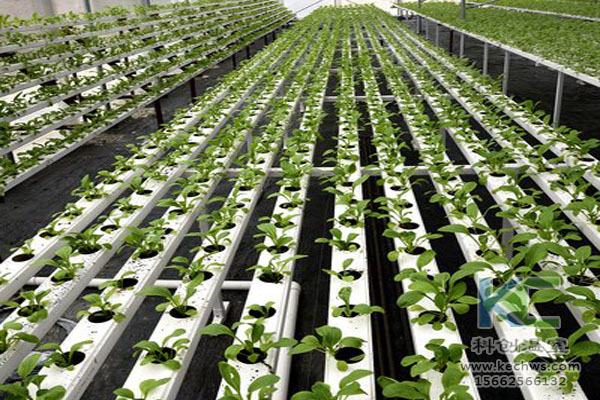 無土栽培，無土栽培技術，無土栽培設備