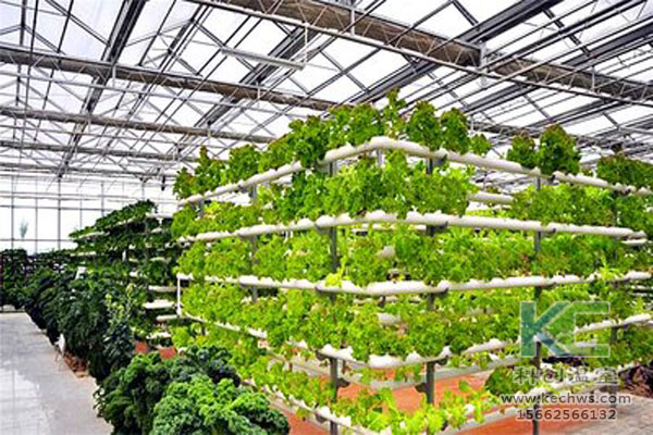 無土栽培設備，無土栽培技術，無土栽培，溫室大棚