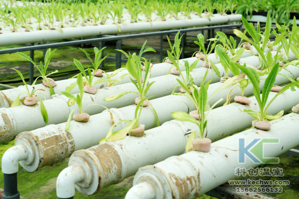 無(wú)土栽培,無(wú)土栽培技術(shù),無(wú)土栽培設(shè)備