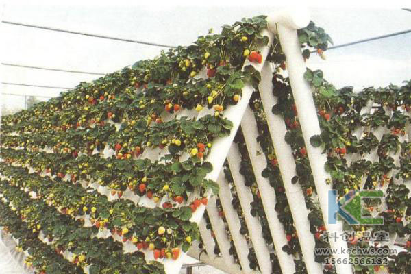 無(wú)土栽培,無(wú)土栽培技術(shù),無(wú)土栽培設(shè)備