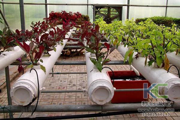 無土栽培,無土栽培技術,無土栽培設備