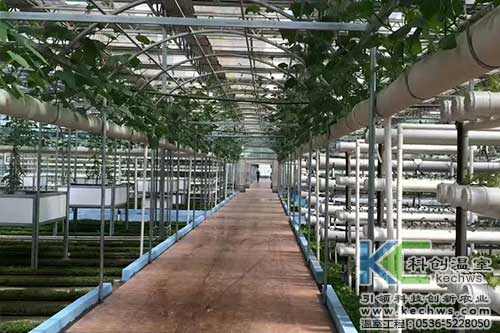 無土栽培,無土栽培技術