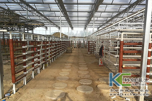 無土栽培,無土栽培技術,工程