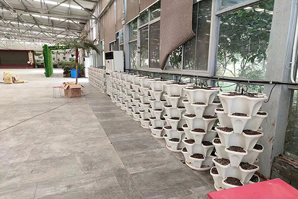 無土栽培，無土栽培技術，無土栽培設備