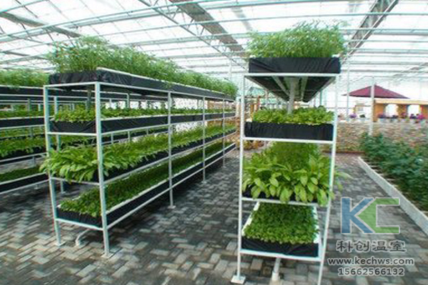 魚菜共生系統(tǒng)，無(wú)土栽培技術(shù)，無(wú)土栽培，溫室大棚