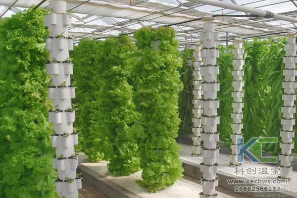 無土栽培,無土栽培技術,無土栽培設備