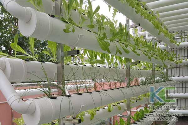 無(wú)土栽培，無(wú)土栽培技術(shù)，無(wú)土栽培設(shè)備