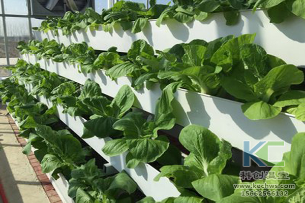 無土栽培,無土栽培技術,無土栽培設備