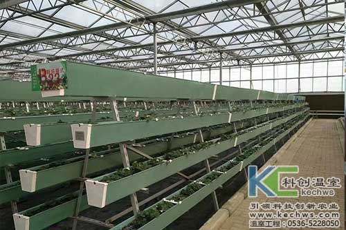 無土栽培,無土栽培技術(shù),無土栽培設(shè)備