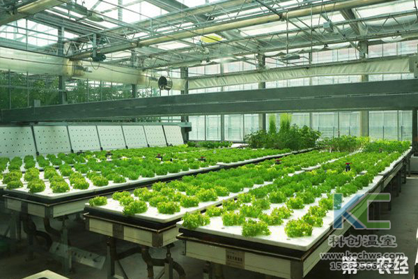 無土栽培,設備,無土栽培設備,設施