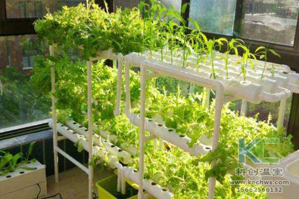 無土栽培，無土栽培技術(shù)，無土栽培設(shè)備