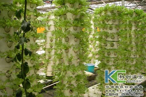 無土栽培，無土栽培技術，無土栽培設備