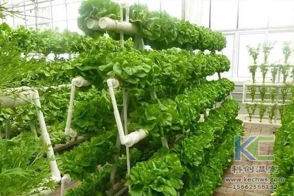 無(wú)土栽培，無(wú)土栽培技術(shù)，無(wú)土栽培設(shè)備