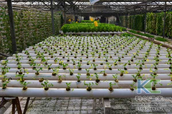 無土栽培，無土栽培技術(shù)，無土栽培設(shè)備