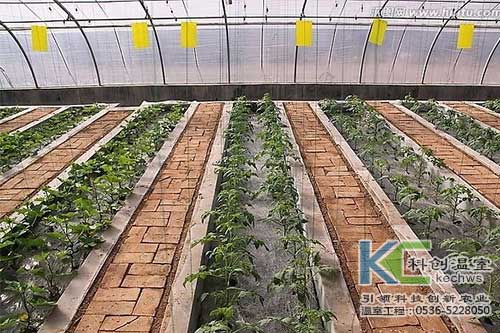 無土栽培，無土栽培技術，無土栽培設備