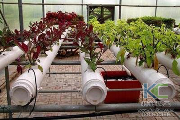 無(wú)土栽培,無(wú)土栽培技術(shù),無(wú)土栽培設(shè)備