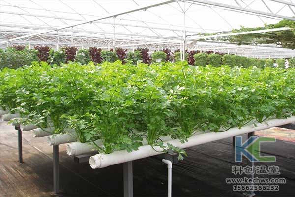 無土栽培，無土栽培技術(shù)，無土栽培設(shè)備