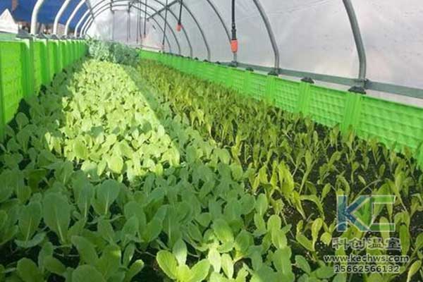 無(wú)土栽培，無(wú)土栽培技術(shù)，無(wú)土栽培設(shè)備