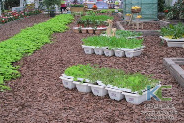 無土栽培技術,無土栽培設備,無土栽培,溫室大棚