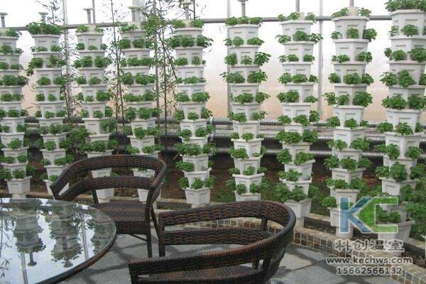 無土栽培，無土栽培技術，無土栽培設備