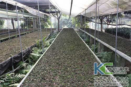 無土栽培，無土栽培技術，無土栽培設備