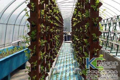無土栽培,無土栽培技術(shù),無土栽培設(shè)備