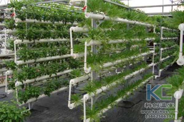 無土栽培，無土栽培技術(shù)，無土栽培設(shè)備