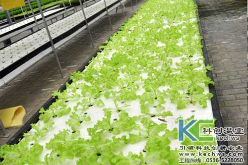 無土栽培，無土栽培技術，無土栽培設備