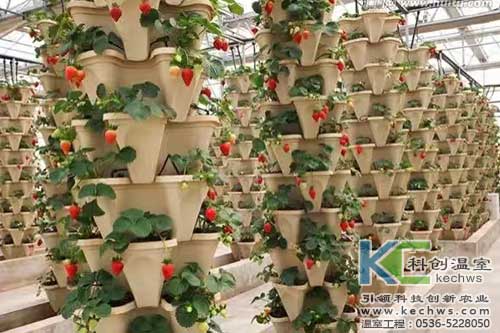 無土栽培，無土栽培技術，無土栽培設備