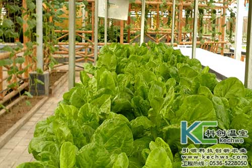 無土栽培，無土栽培技術，無土栽培設備