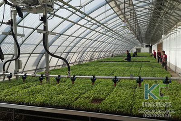 無土栽培技術,無土栽培設備,營養液,溫室大棚