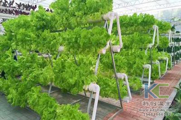 無(wú)土栽培技術(shù)，無(wú)土栽培設(shè)備，無(wú)土栽培，溫室大棚