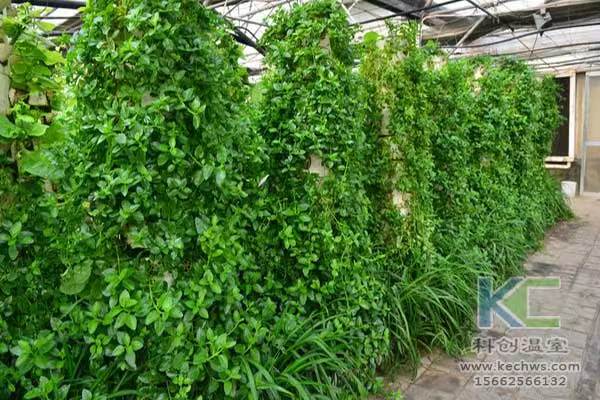 無土栽培，無土栽培技術，無土栽培設備