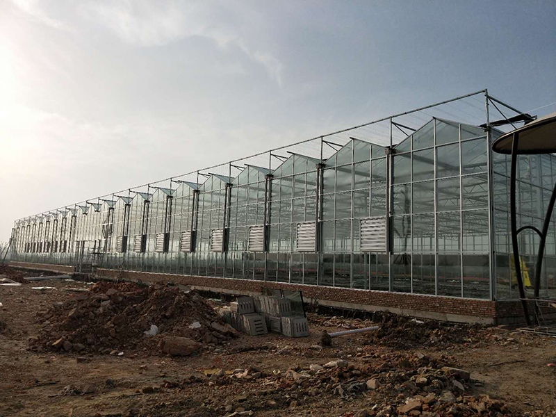 無土栽培,無土栽培技術(shù),無土栽培設(shè)備