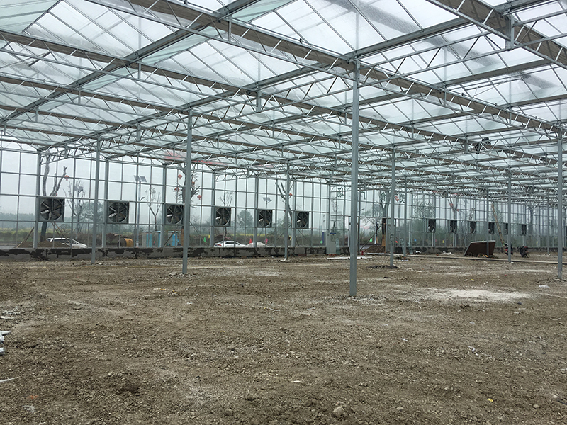 無土栽培,無土栽培技術(shù),無土栽培設(shè)備