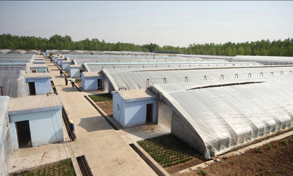 無土栽培，無土栽培技術，無土栽培設備