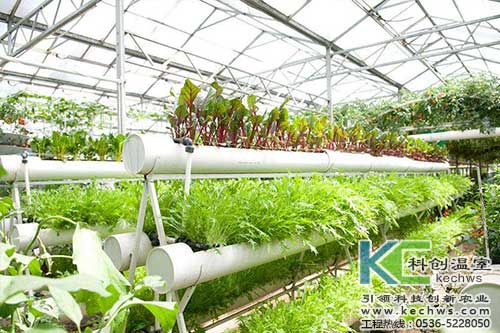 無土栽培，無土栽培技術，無土栽培設備