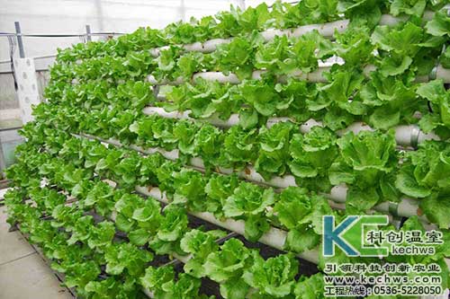 無土栽培,無土栽培技術,無土栽培設備