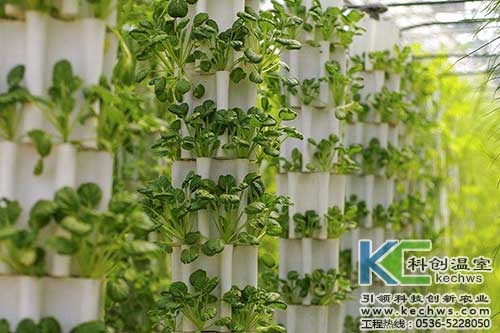 無土栽培，無土栽培技術(shù)，無土栽培設(shè)備