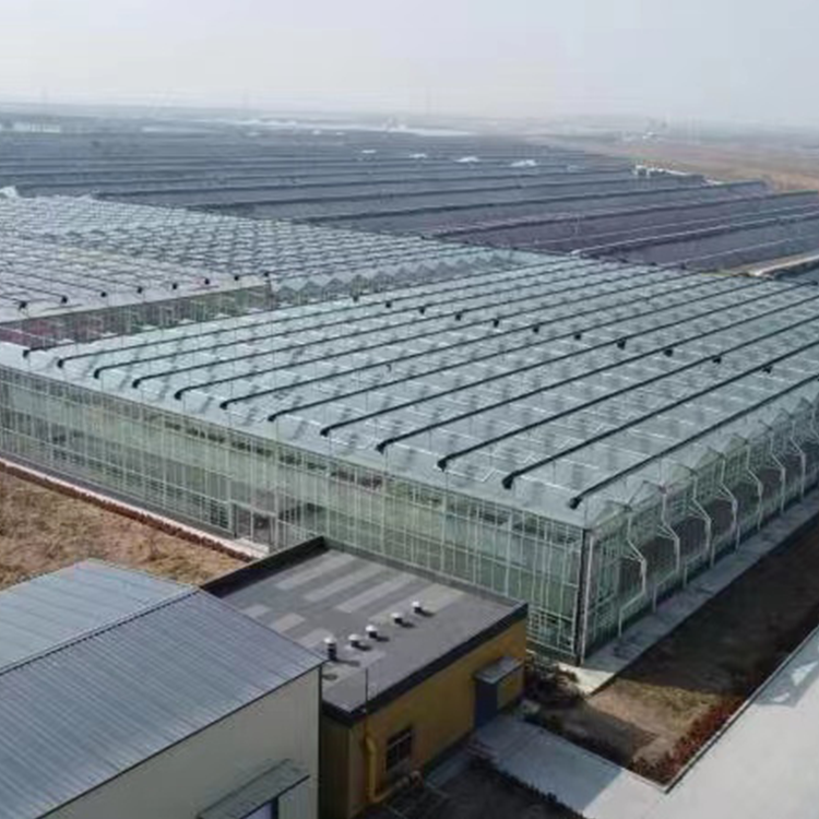 無土栽培,無土栽培技術(shù),無土栽培設(shè)備