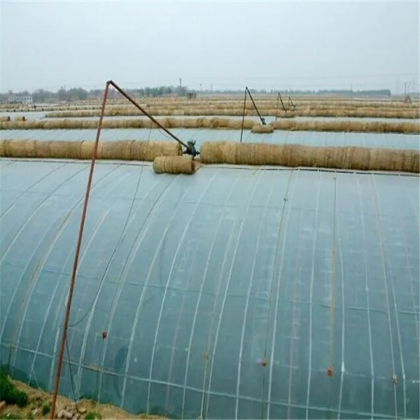 無土栽培,無土栽培技術,無土栽培設備