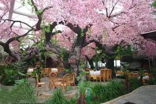 無土栽培，無土栽培技術(shù)，無土栽培設(shè)備