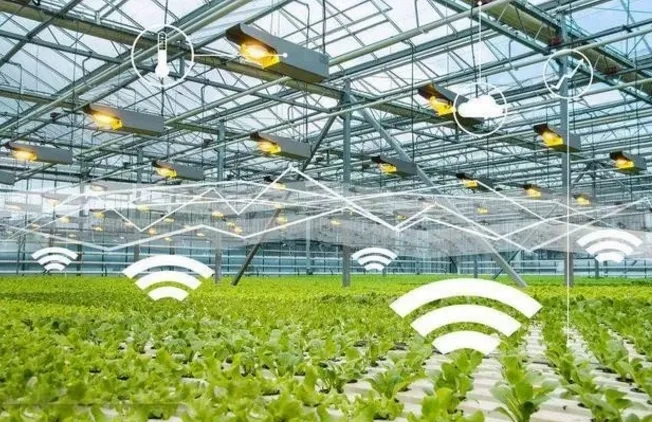 無土栽培,無土栽培技術,無土栽培設備