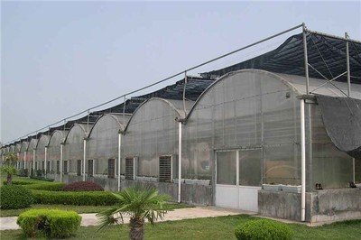 無土栽培，無土栽培技術，無土栽培設備