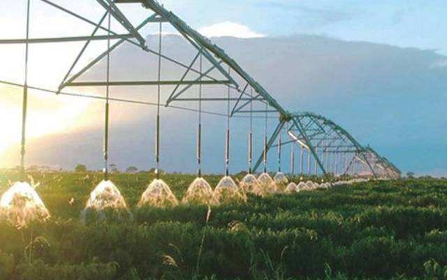 無(wú)土栽培，無(wú)土栽培技術(shù)，無(wú)土栽培設(shè)備